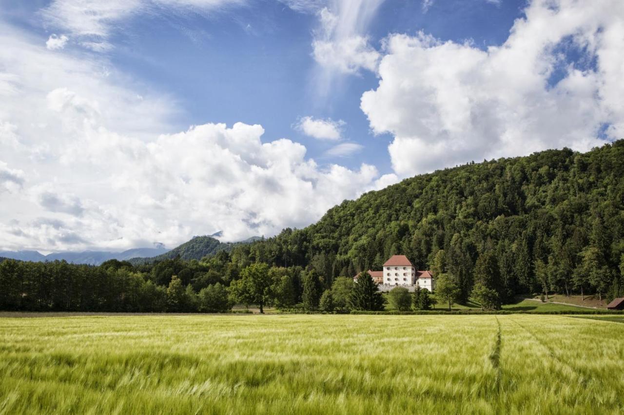 Vila Grad Strmol Cerklje na Gorenjskem Exteriér fotografie