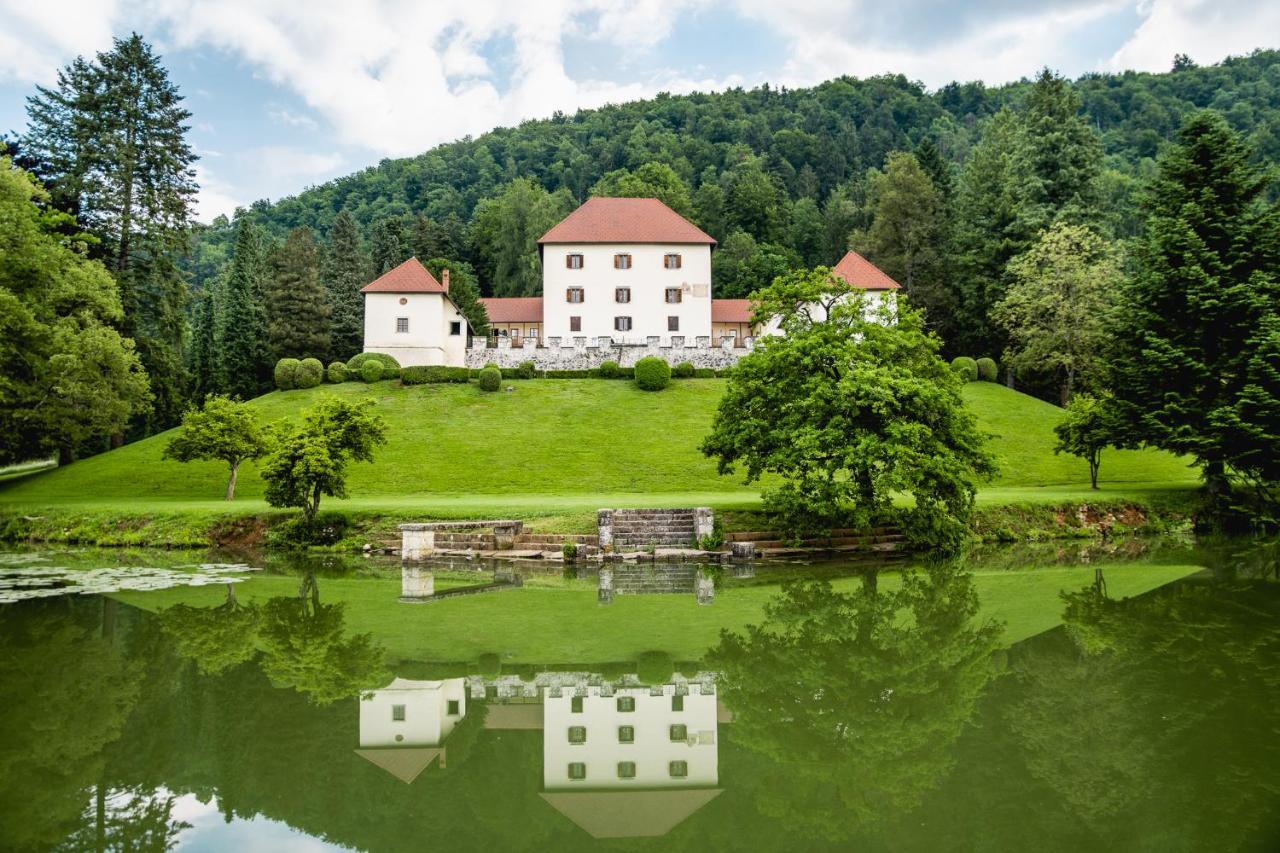 Vila Grad Strmol Cerklje na Gorenjskem Exteriér fotografie