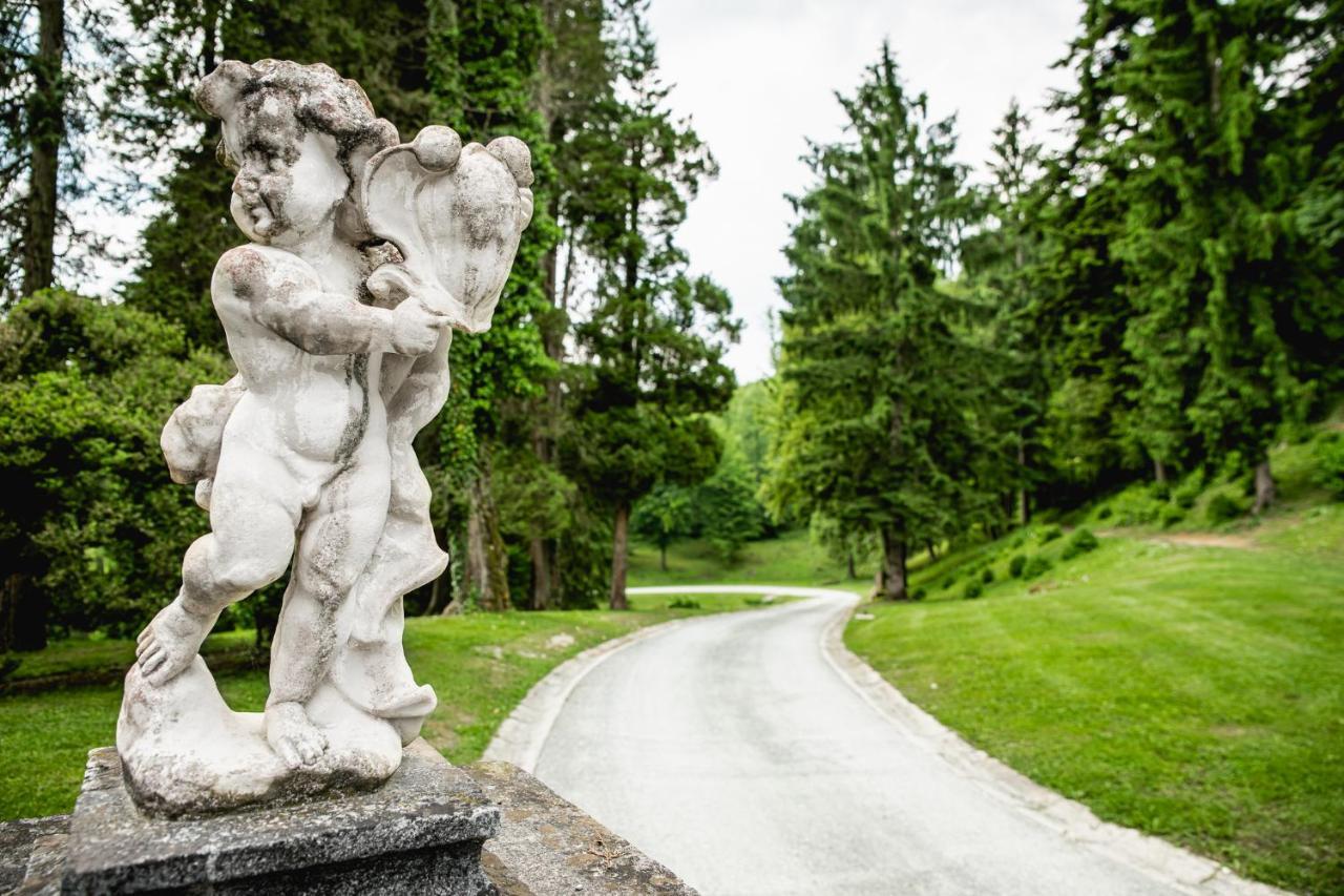 Vila Grad Strmol Cerklje na Gorenjskem Exteriér fotografie