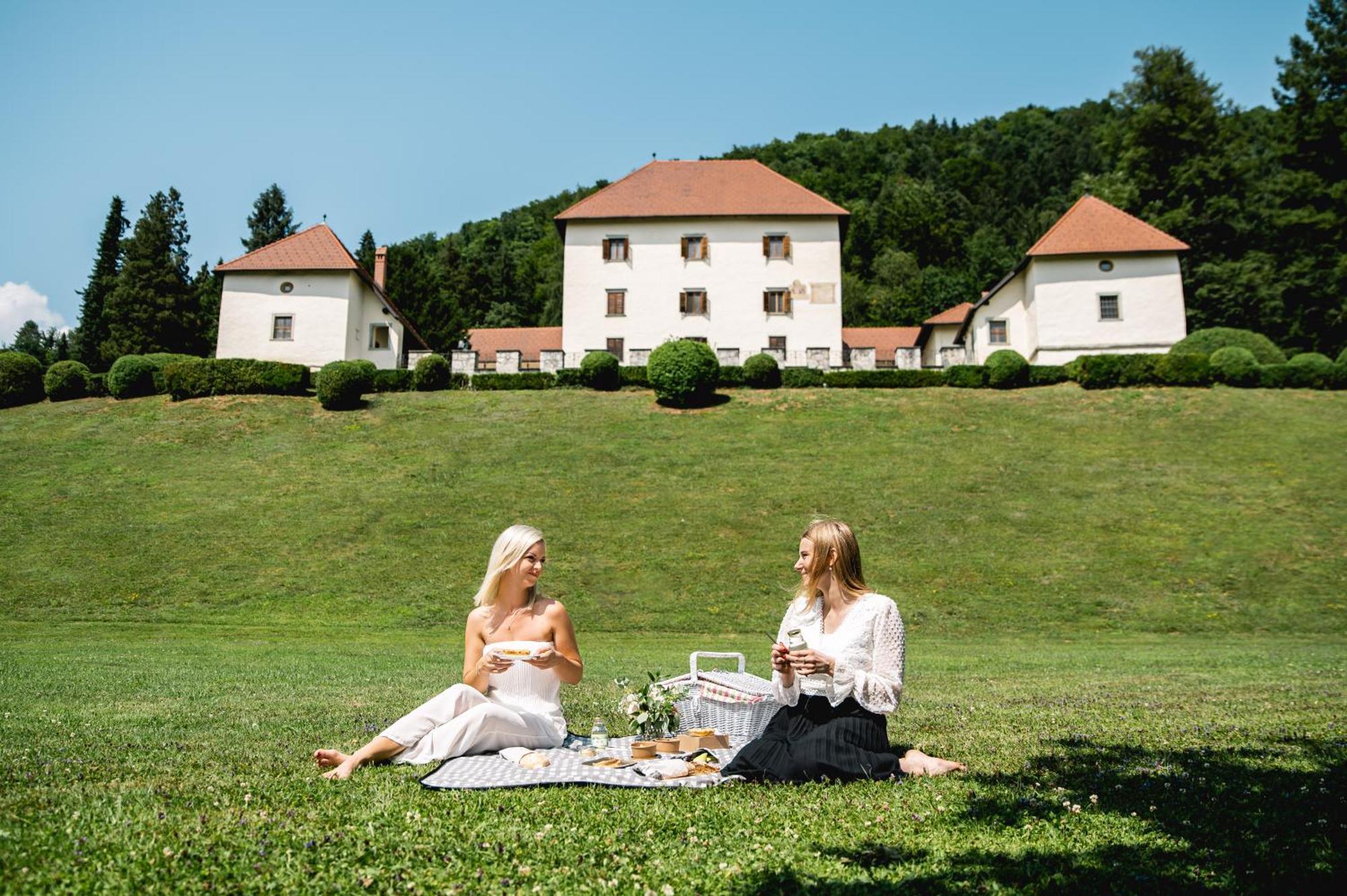 Vila Grad Strmol Cerklje na Gorenjskem Exteriér fotografie